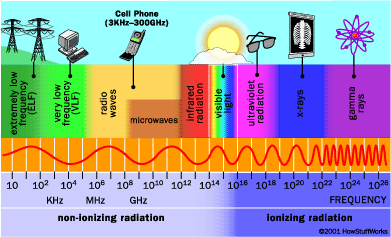 Effetti delle radiazioni sui tessuti biologici